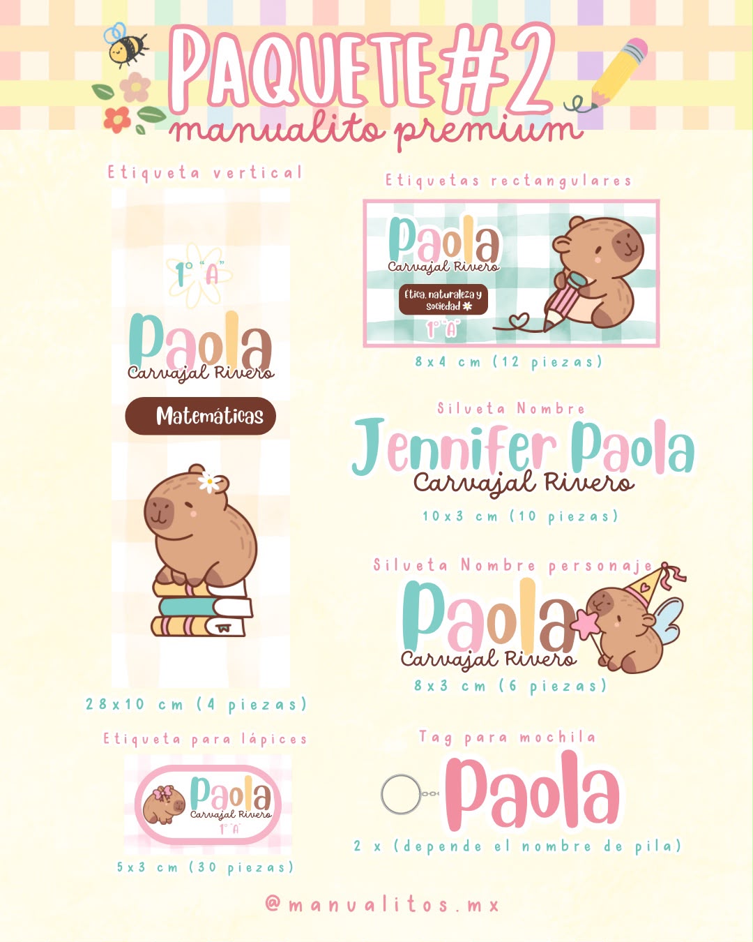 PAQUETE PREMIUM MANUALITO